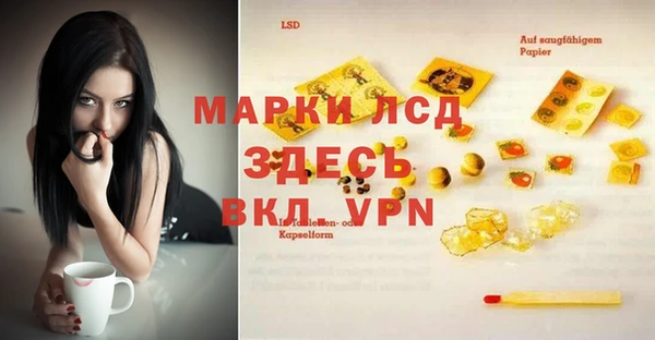 Альфа ПВП Зеленокумск