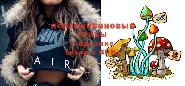 бошки Зеленодольск