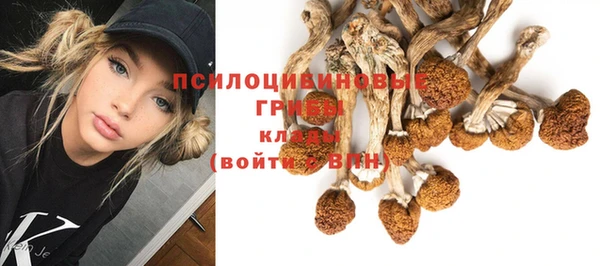 марки lsd Зерноград