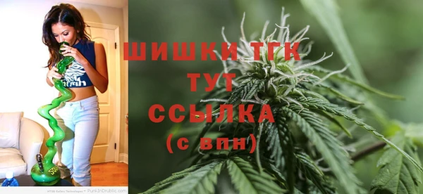 Альфа ПВП Зеленокумск